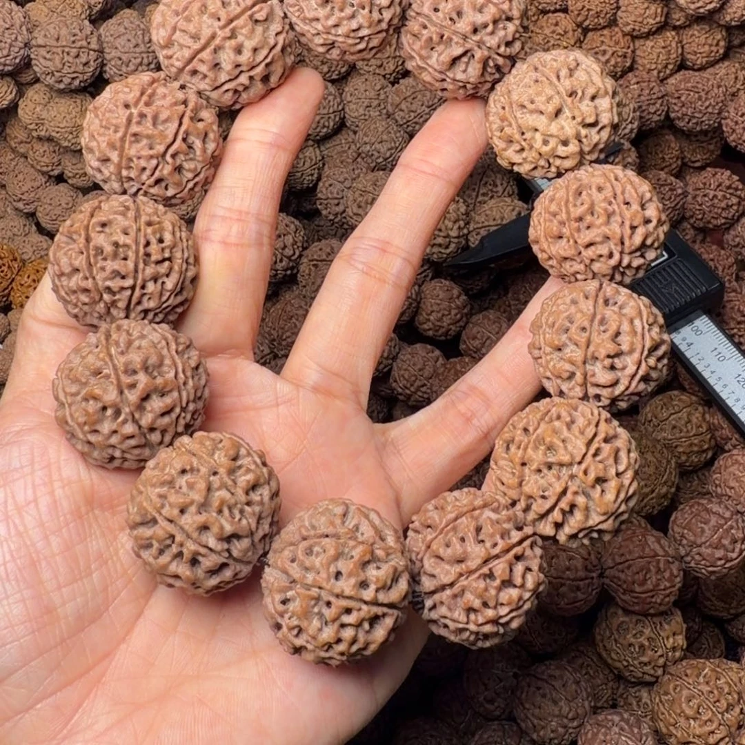 手串金刚菩提8瓣卡28尺，41号