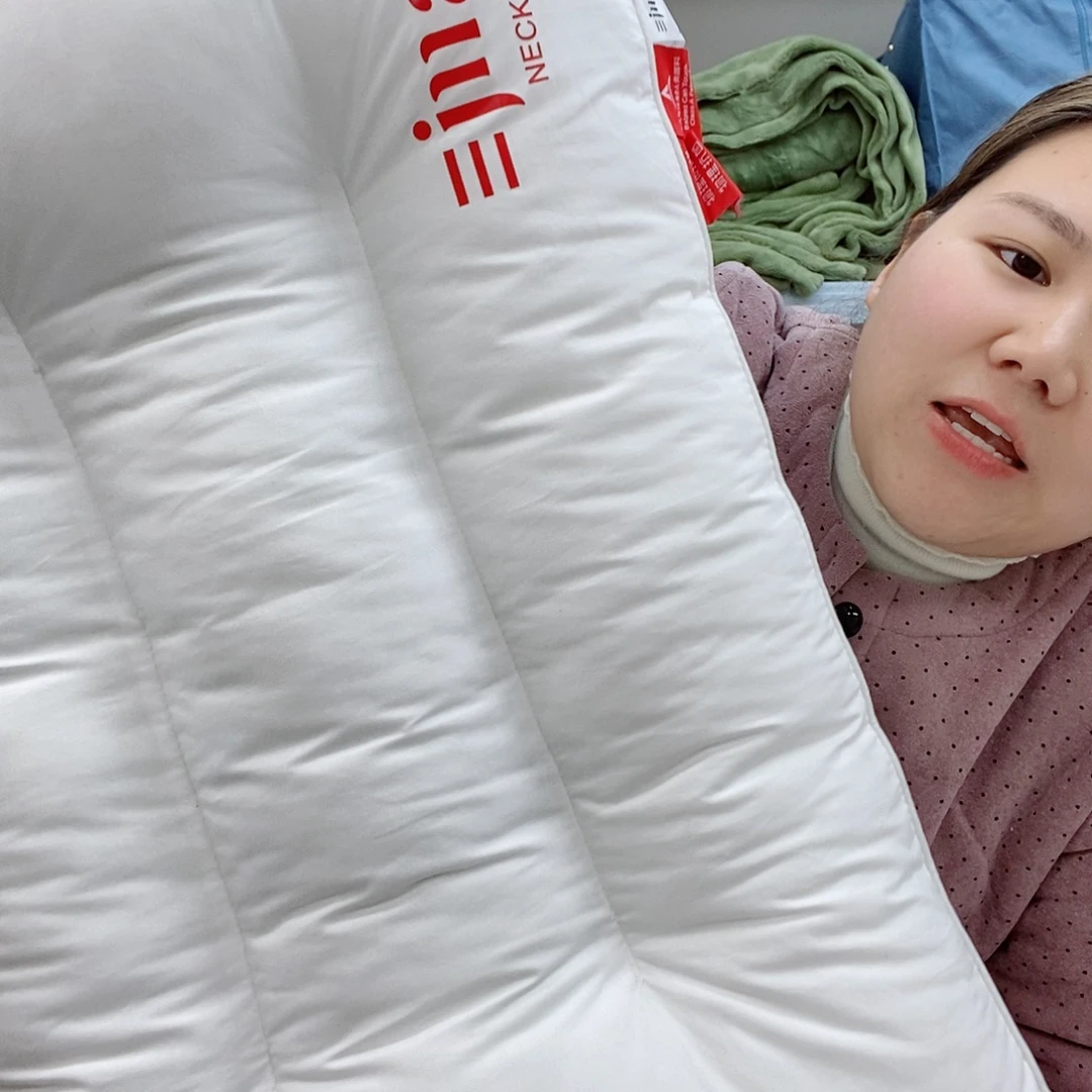 花草全棉枕芯一对装