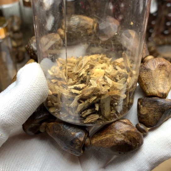 沉香沉香碎屑海南沉香