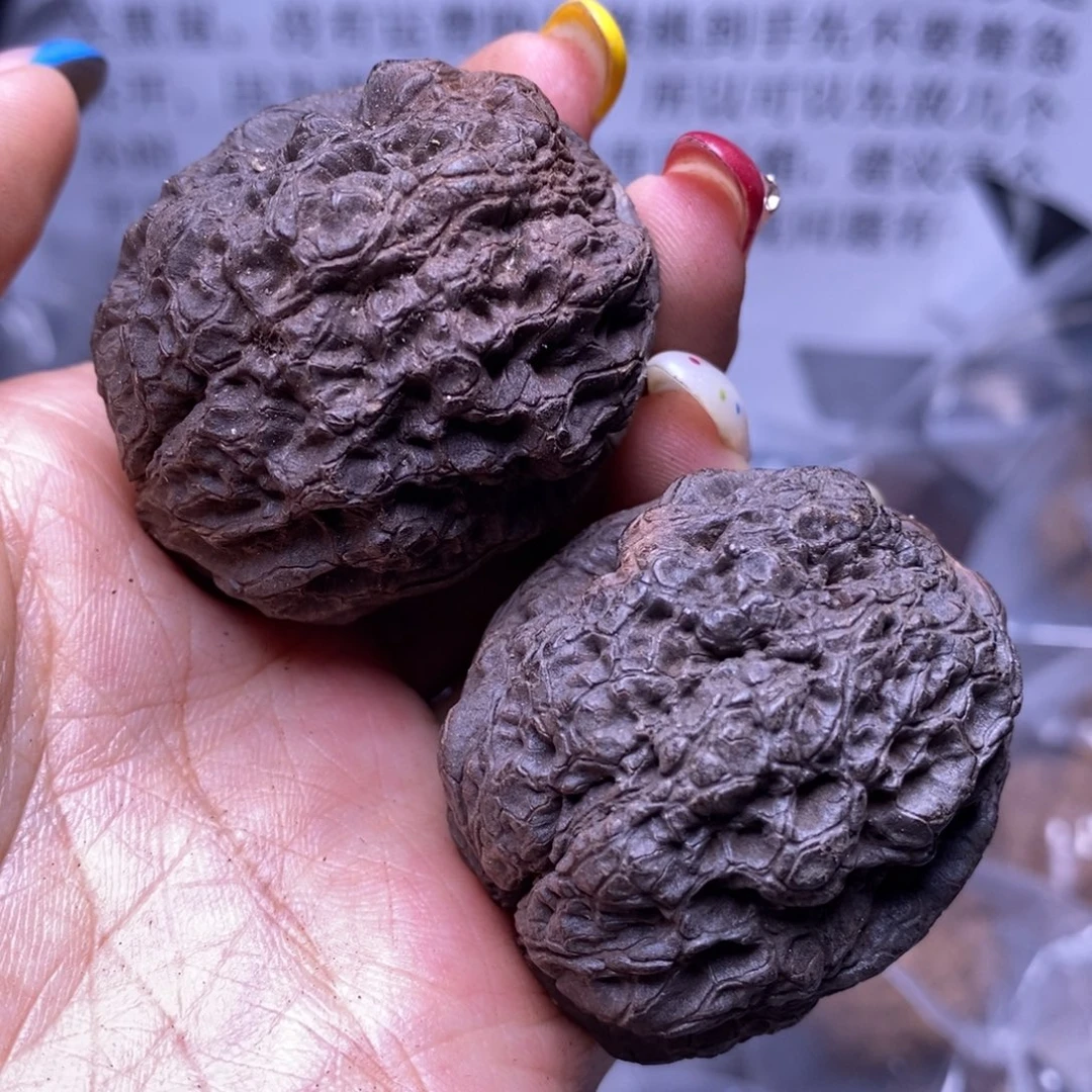 文玩核桃把件云南野生铁核桃61号42mm磕尖