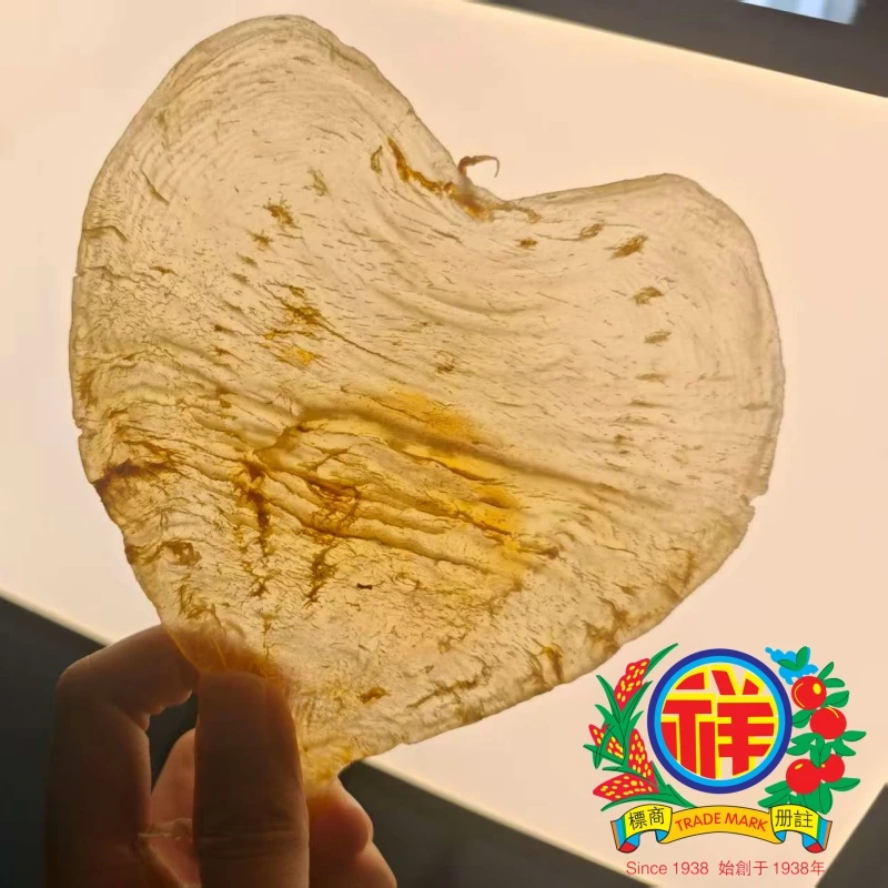 李祥和鱼胶  8—10头斗湖胶  缅甸斗湖胶 柔肉斗湖