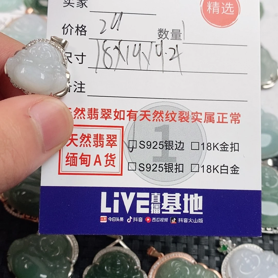 翡翠银S925镶嵌颈饰