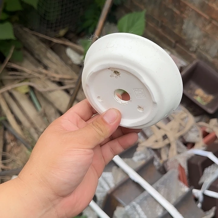 不用太早去买药吧亲爱勒