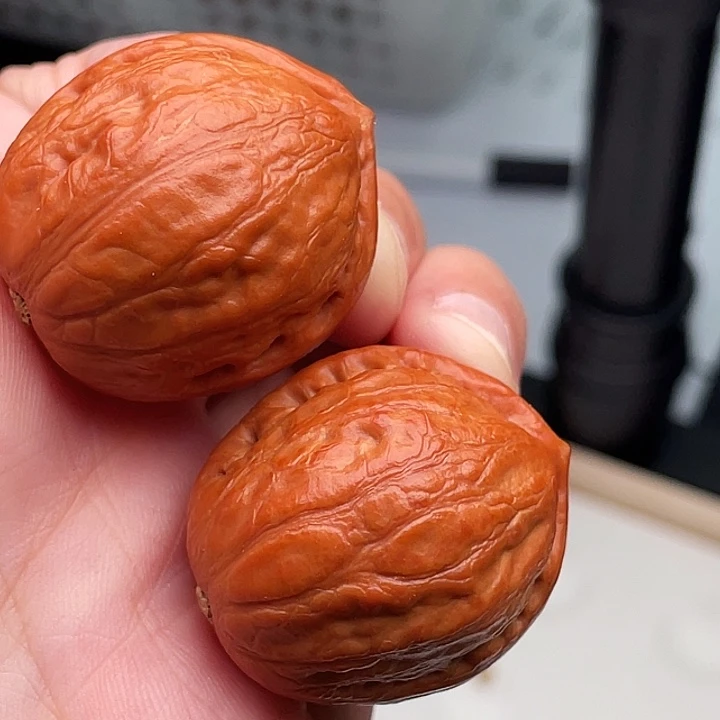 文玩核桃把件兰寿金鱼肚