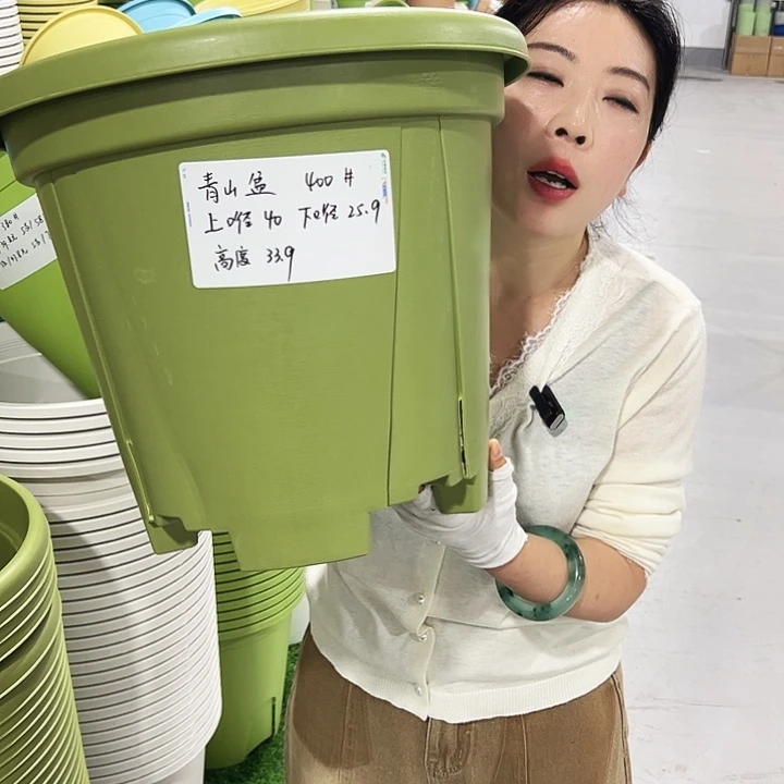 青山口40高34果绿5只无托