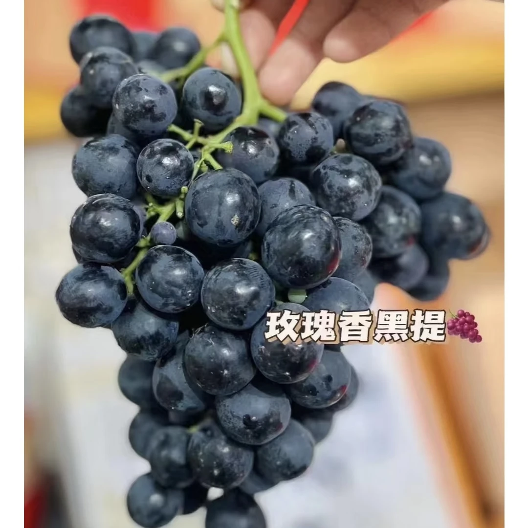 进口玫瑰香黑提 500克