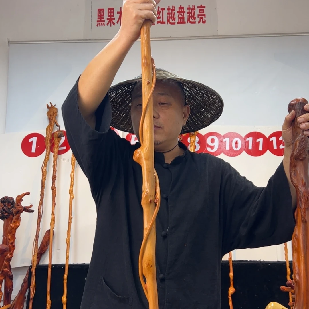 金***迎黑果木其他黑果木583