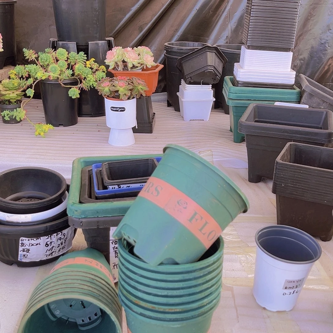 旧口径15高15绿加仑盆20个