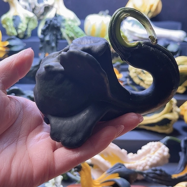 哈****子不退不换不退不换