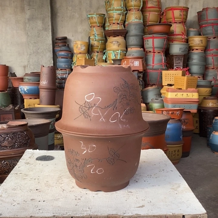 紫砂花盆盆栽花卉苗木种植