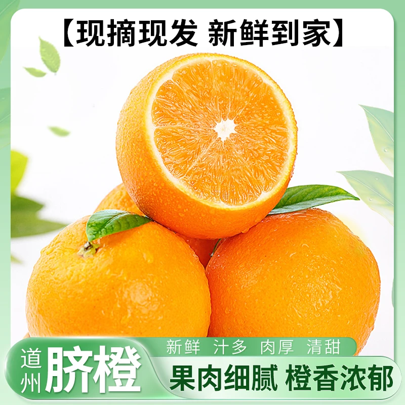 湘南道州 高山老树脐橙新鲜采摘香甜多汁细腻无渣原产地直发10斤