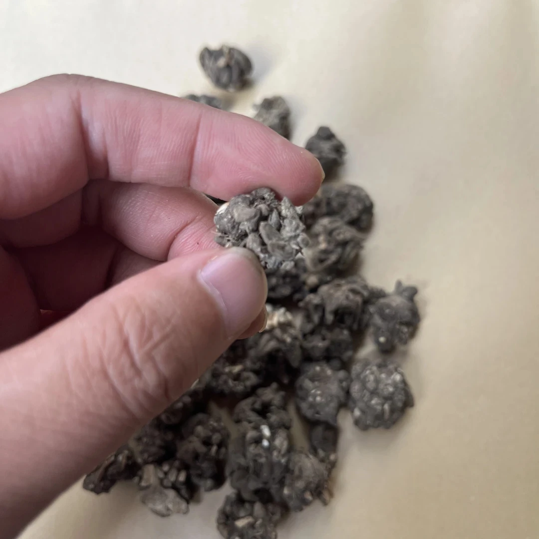 小蒲推荐云南山货【猫爪草】250g-500g