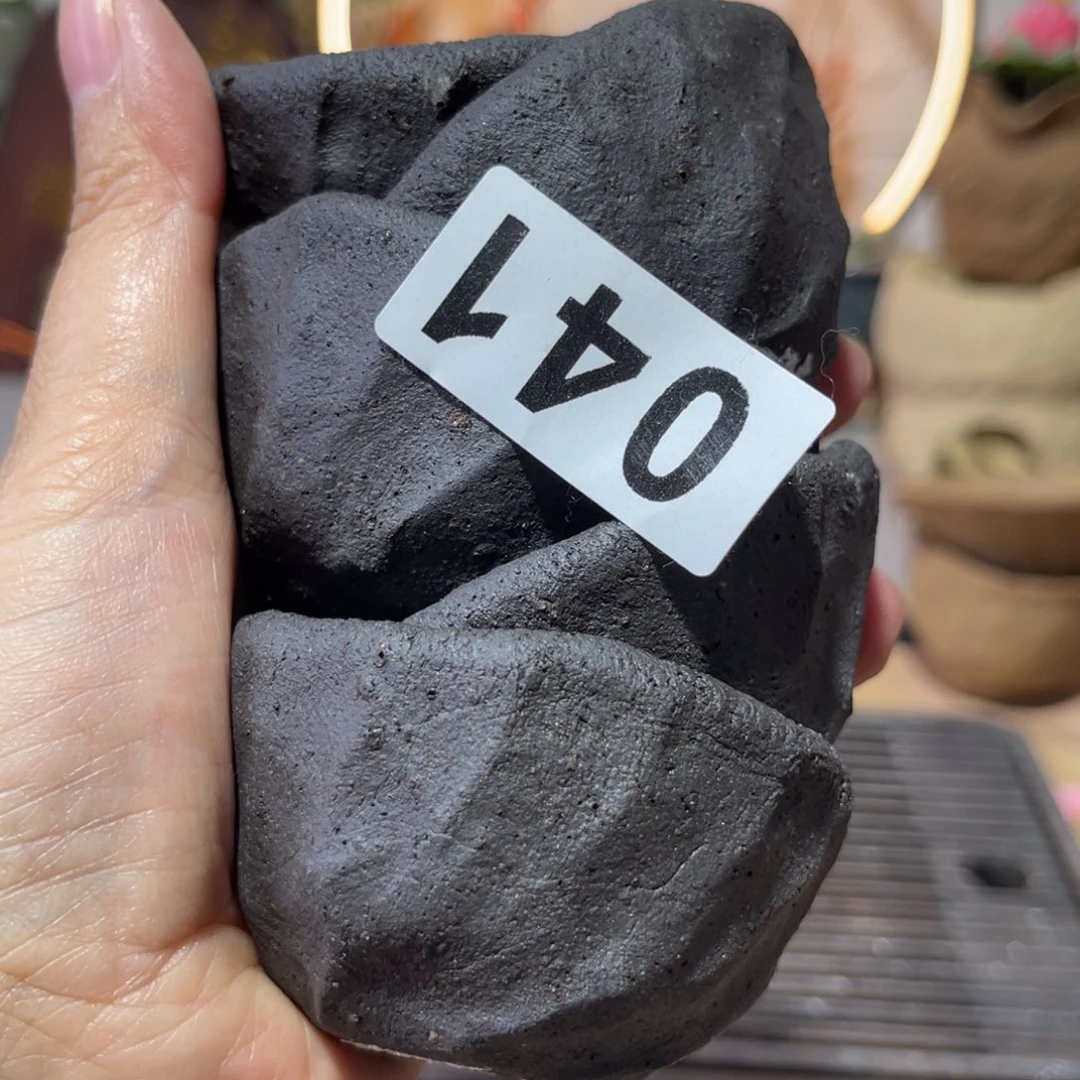 木村信弘柴烧保平