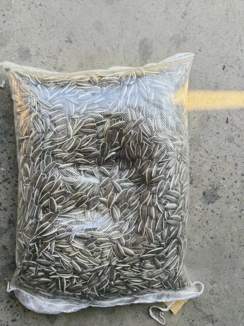 2025年生瓜子葵花籽内蒙古向日葵籽