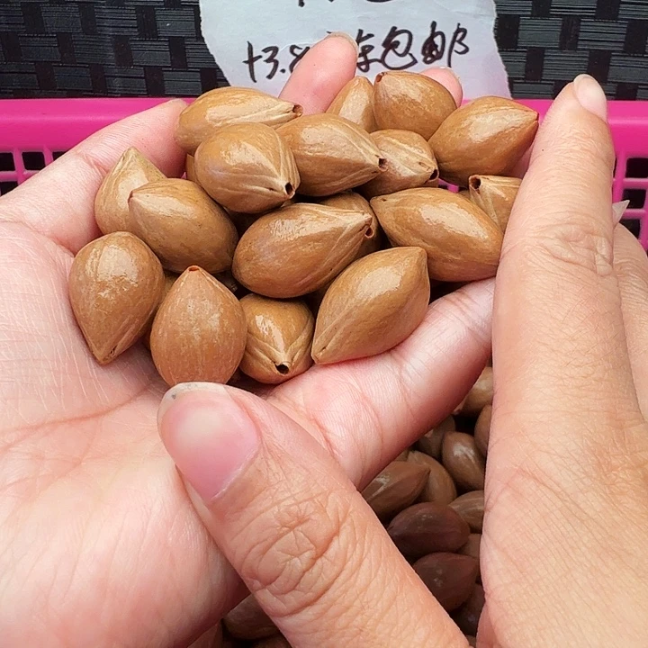 橄榄核手串/手链橄榄