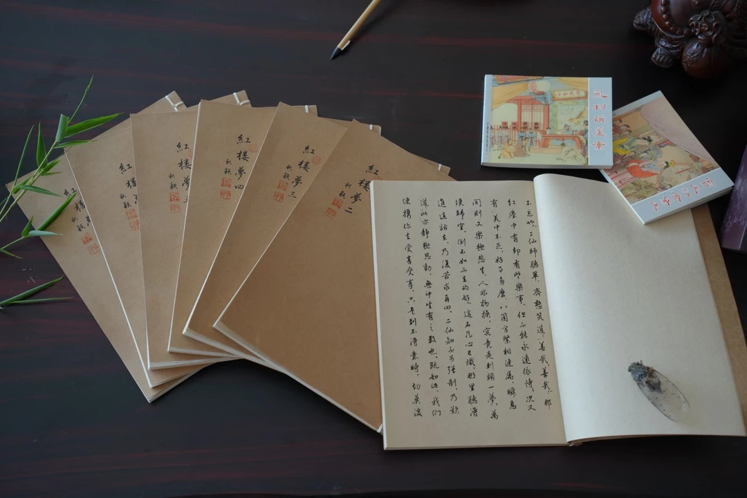 【硬笔行书手稿】行书红楼梦手稿高清复制线装