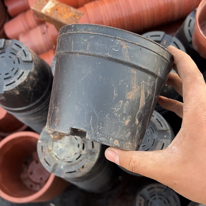 黑色养殖盆口径13高9发45个