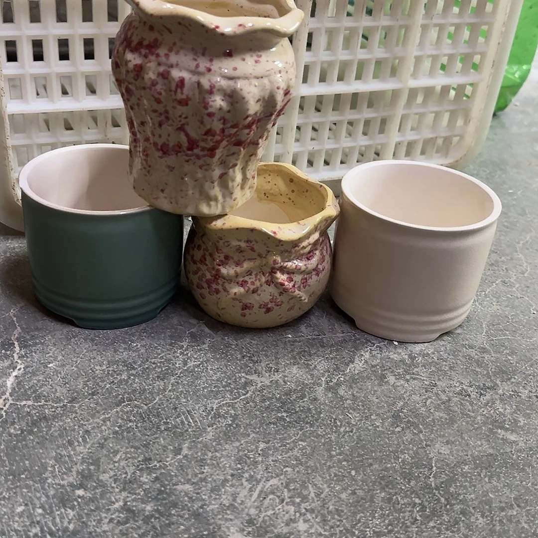 4个福利局绿植多肉盆［凑9元包邮24小时发］