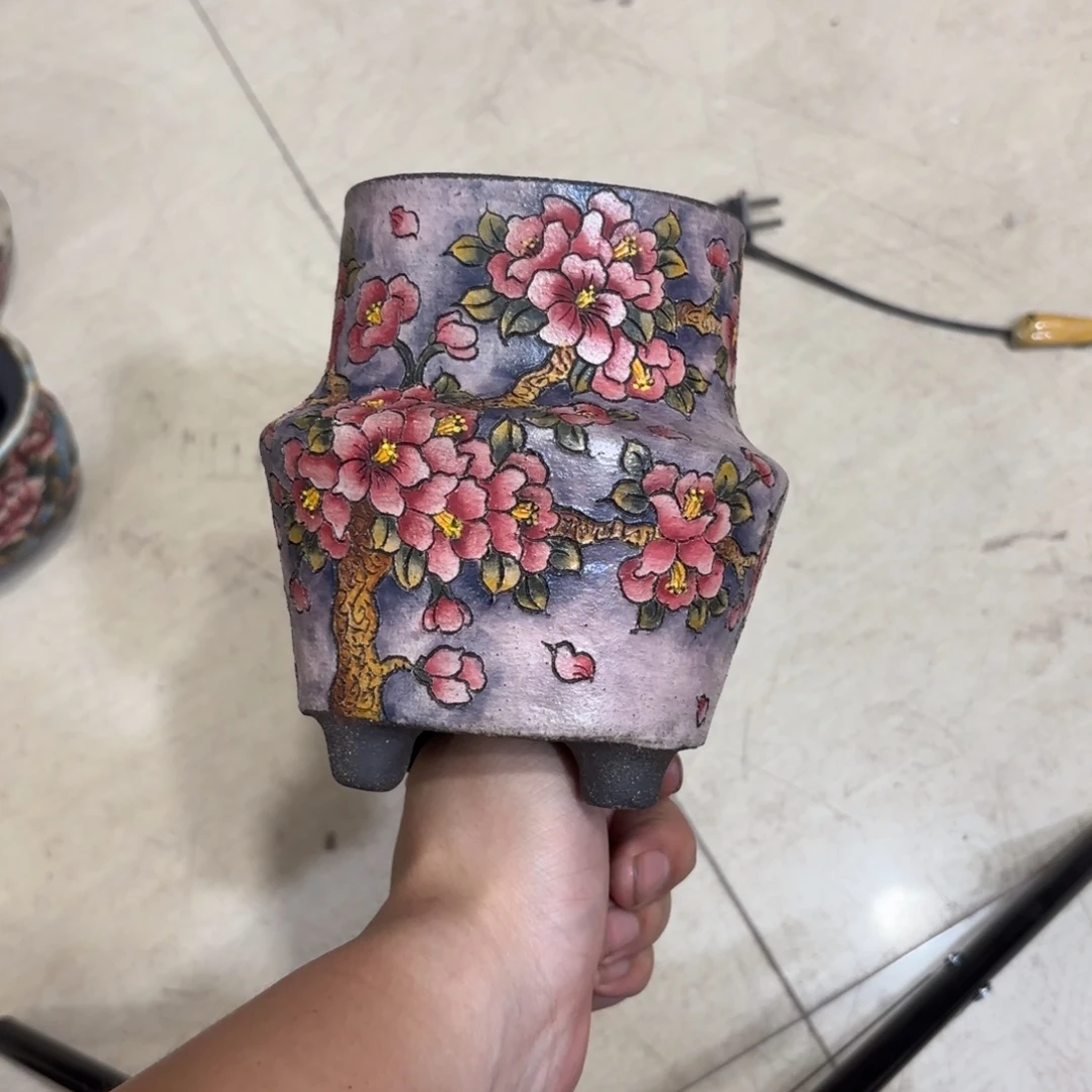 逸***肉瓶紫砂哈哈哈哈哈哈哈哈哈哈