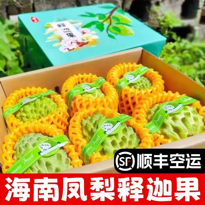 【顺丰空运】海南牛奶释迦精品大果5斤礼盒装高端礼品现摘先发