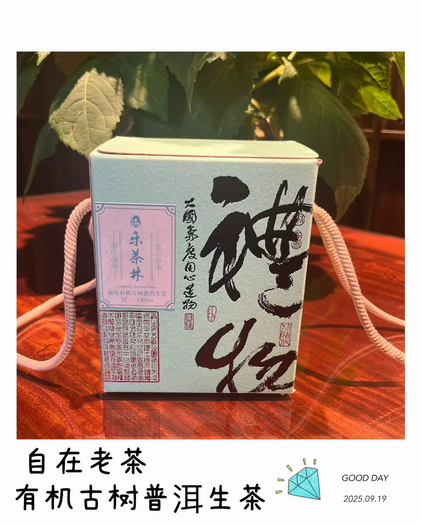 自在老茶【古树普洱生茶】