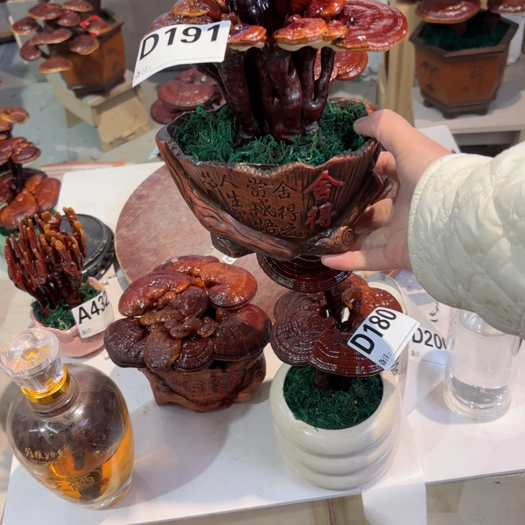 楚***戈无花朵灵芝88888888888