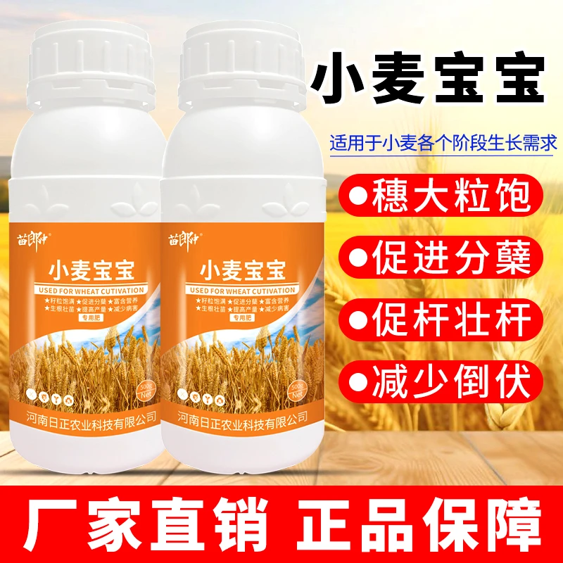 苗郎中小麦宝宝专用籽粒饱满促进分蘖高产抗倒伏生根壮苗叶面肥