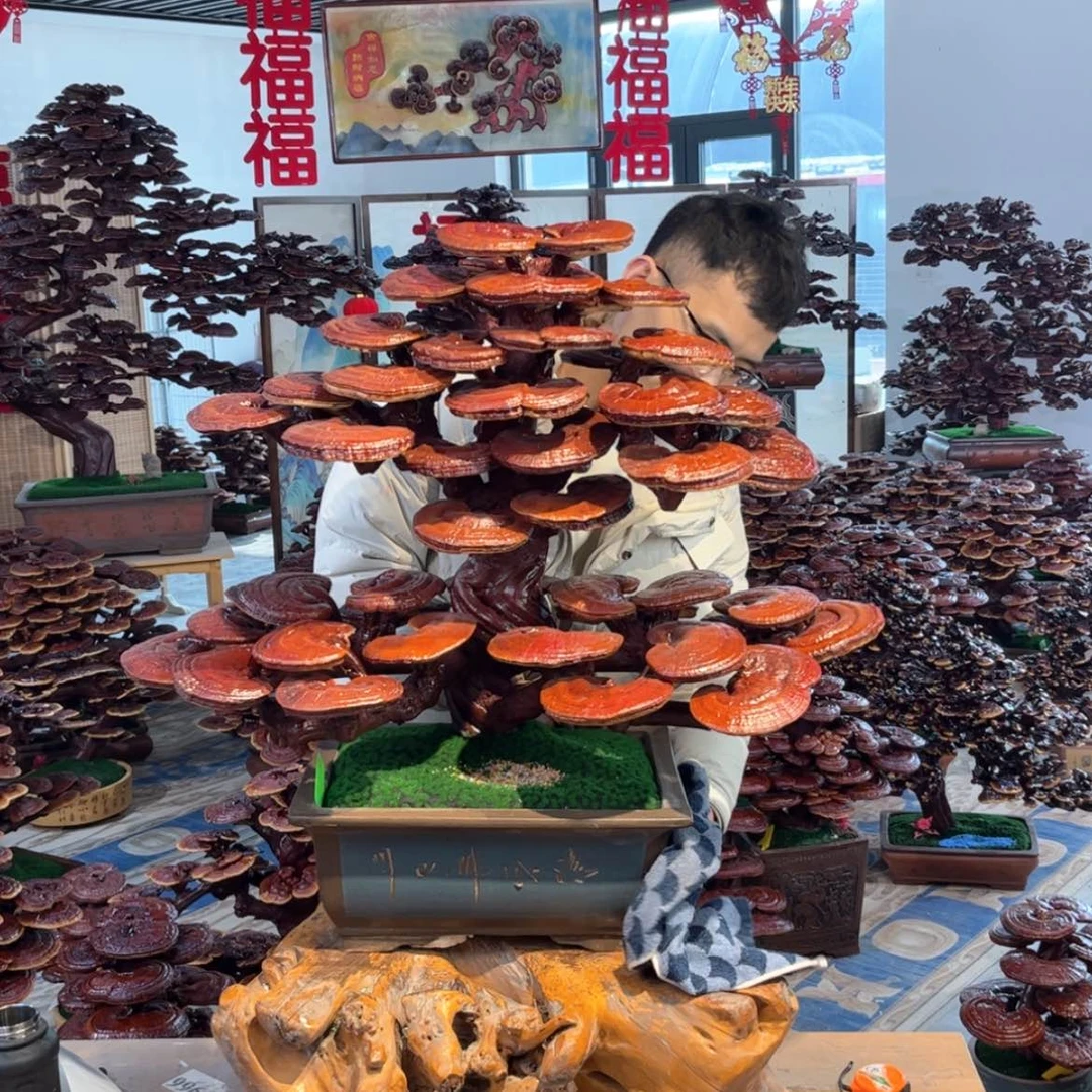 【闪购商品】88888