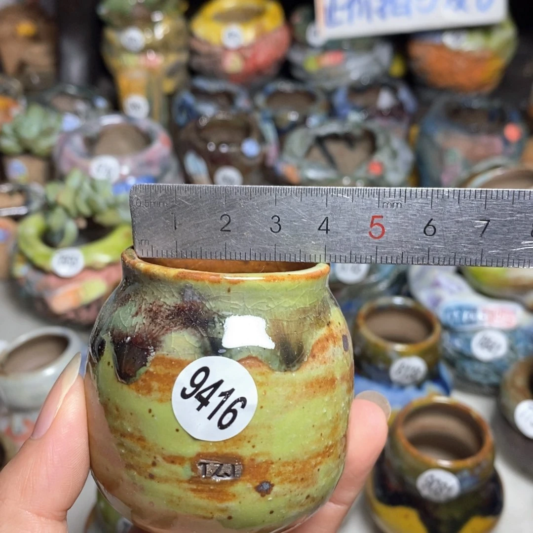 拍5送一个小礼物