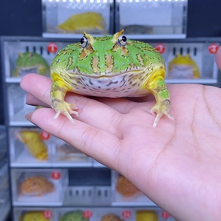 特价秒杀现货特价