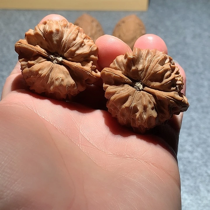 文玩核桃把件角蛙41