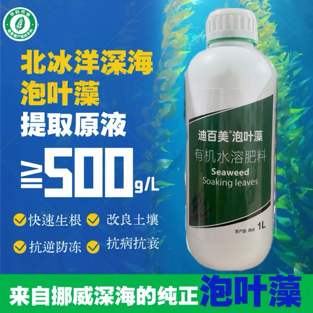 英国维达【挪威海藻】艾伯斯迪百美卉力喜高含量泡叶藻生根抗冻膨果