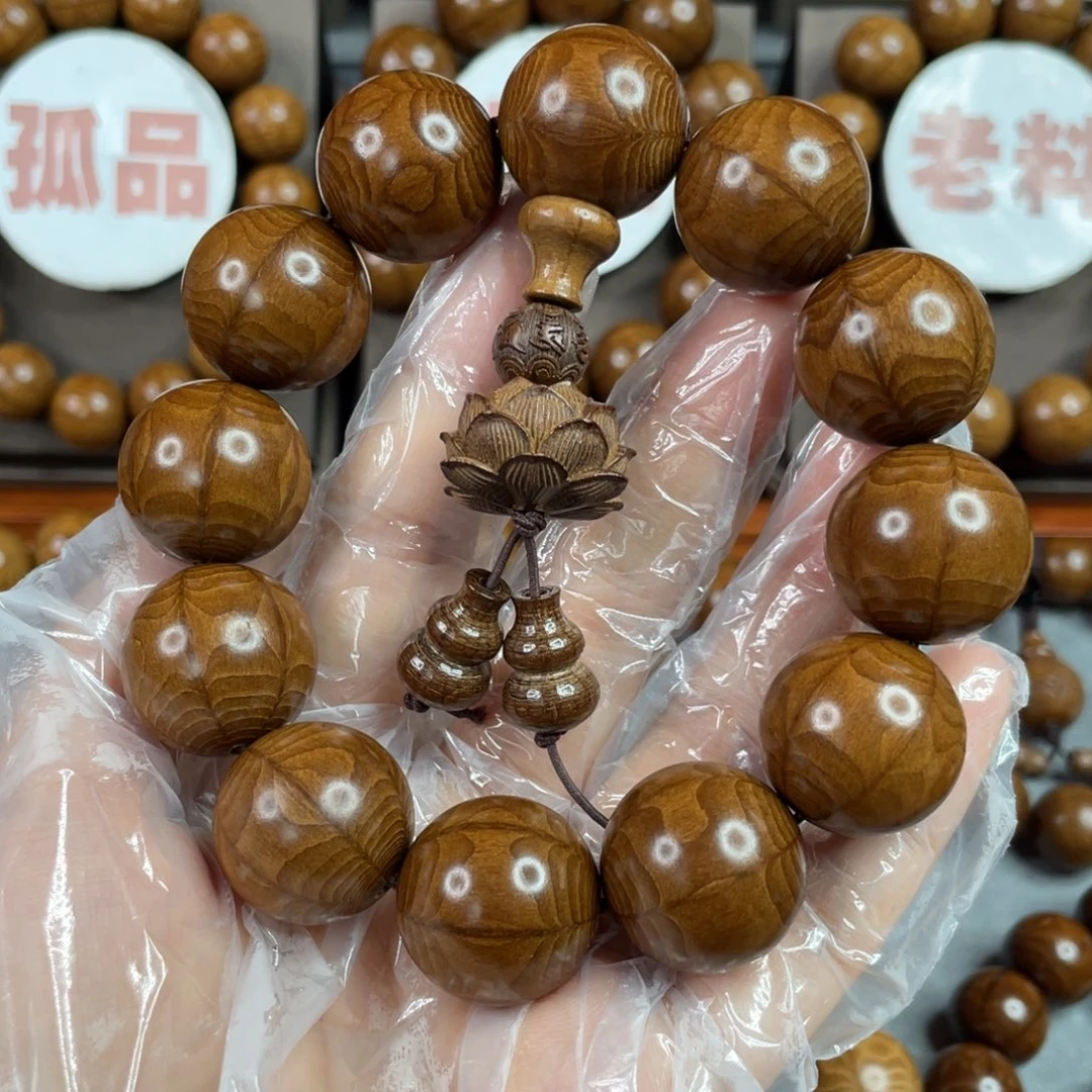 六道木陈化老料， 精品2.0