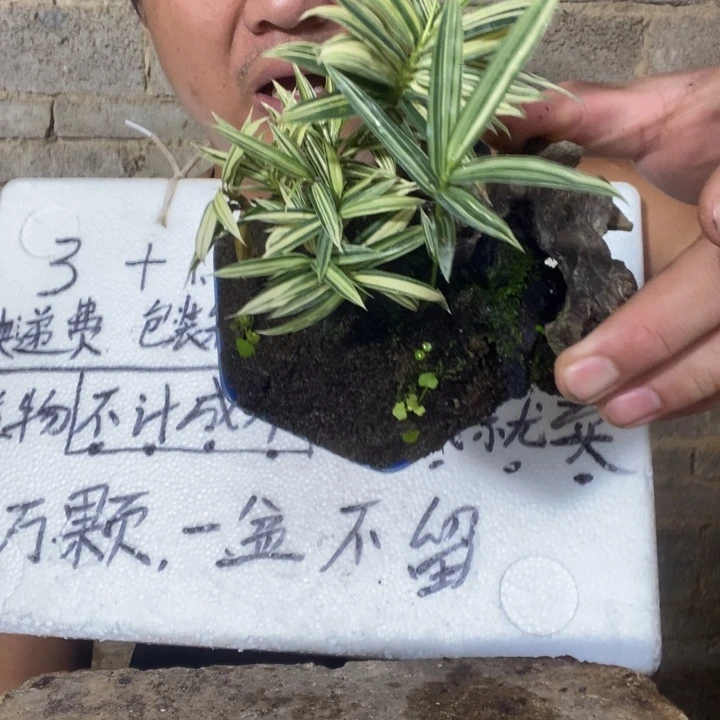 退款拉黑一物一拍43