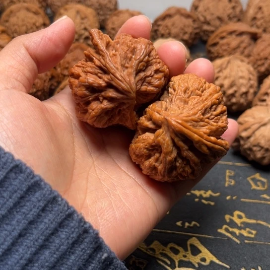 大粗筋异性有色差已经打底