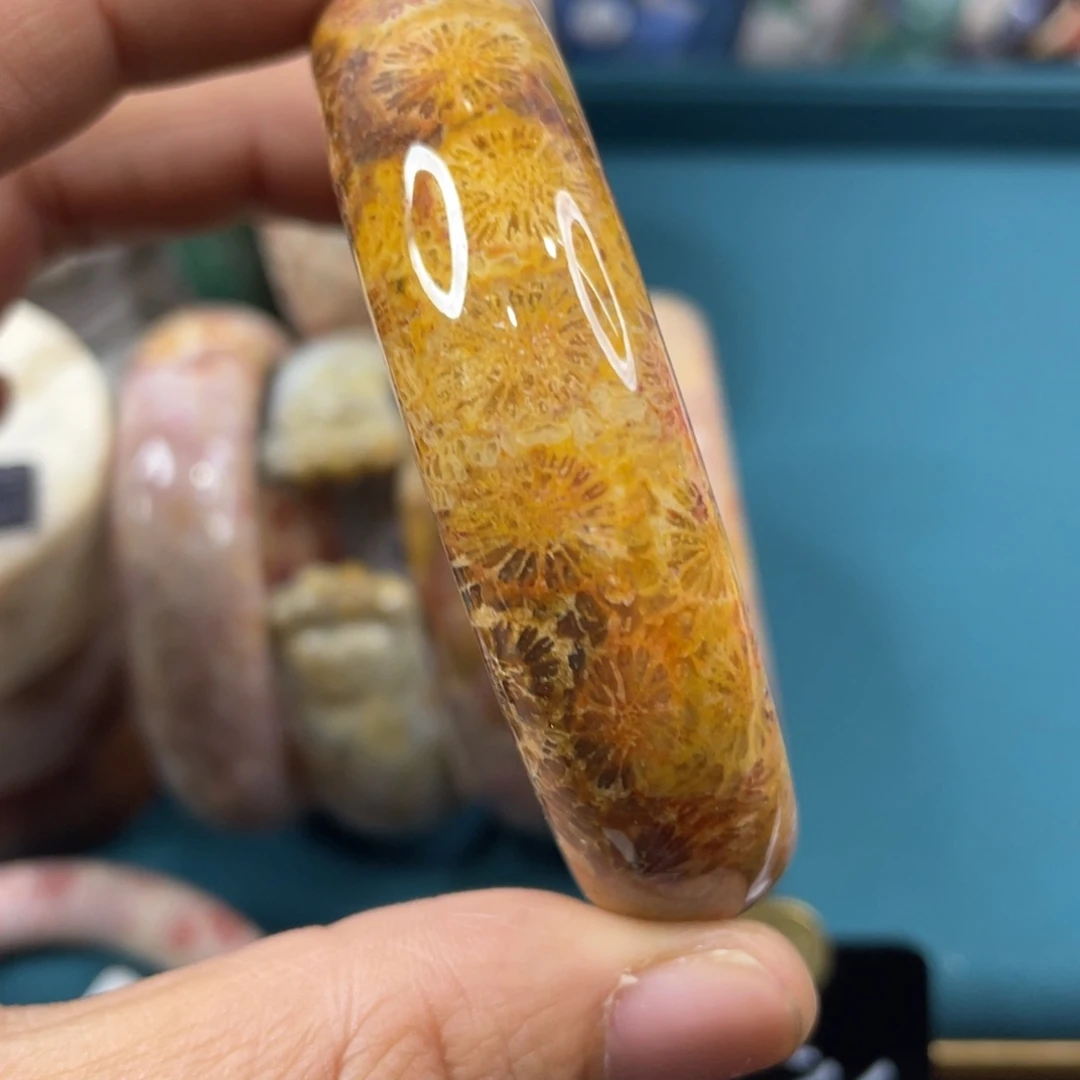 未镶嵌手镯硅化玉