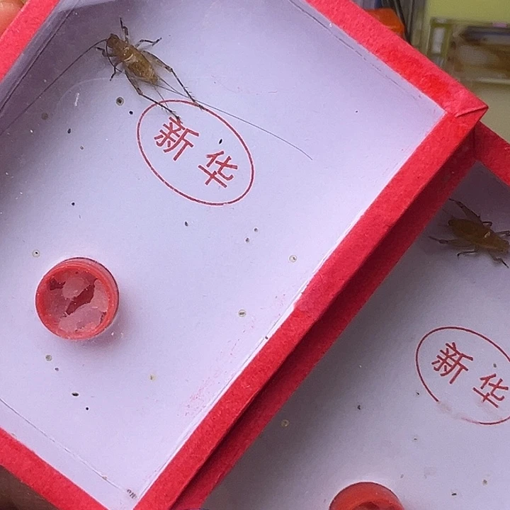 肖***生哈哈哈哈哈哈哈哈哈哈哈哈