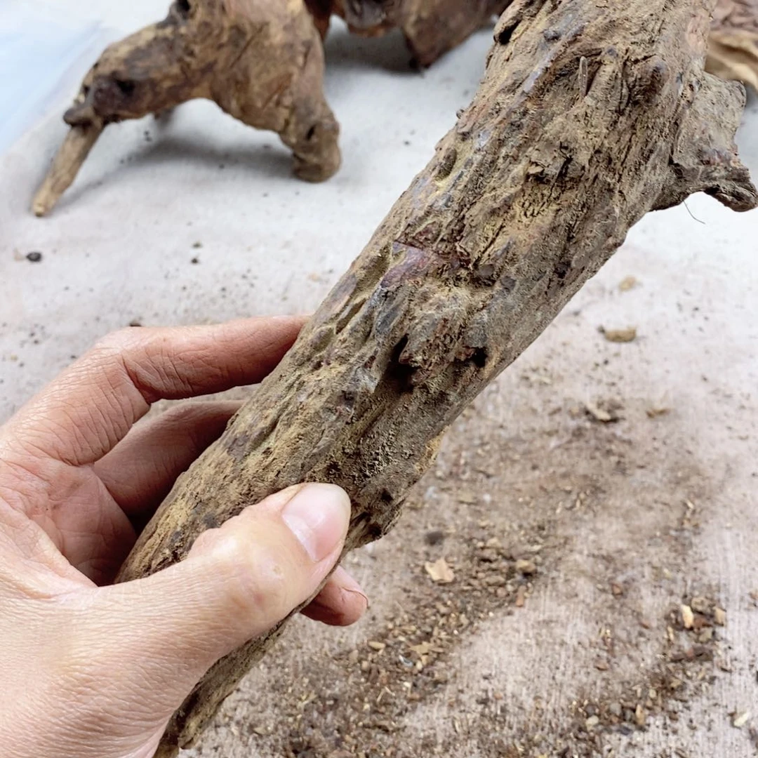 黄花梨/降香黄檀惠**香