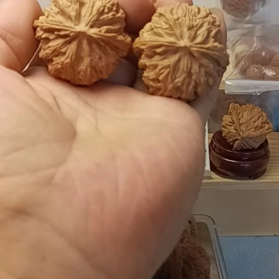 41尺全品无修苹果圆