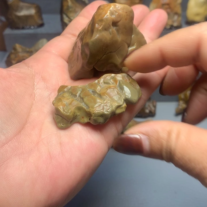 阿拉善天使戈壁奇石