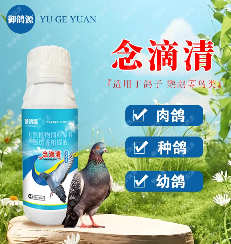 鸽子毛滴虫念珠菌鸽鹦鹉专用鸽霉菌真菌呼吸道口腔白点口黄鸽子