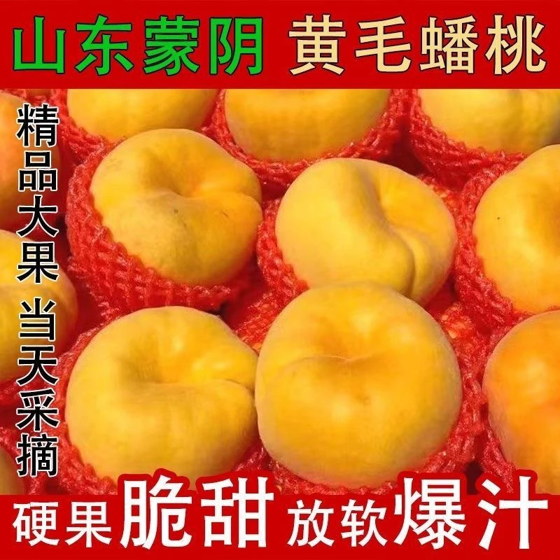 【顺丰包邮】正宗蒙阴黄毛蟠桃新鲜应季水果纯甜多汁软硬两吃