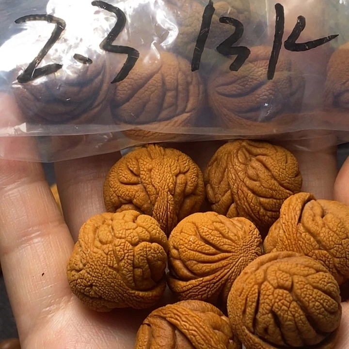 木质类秦岭山野生桃核