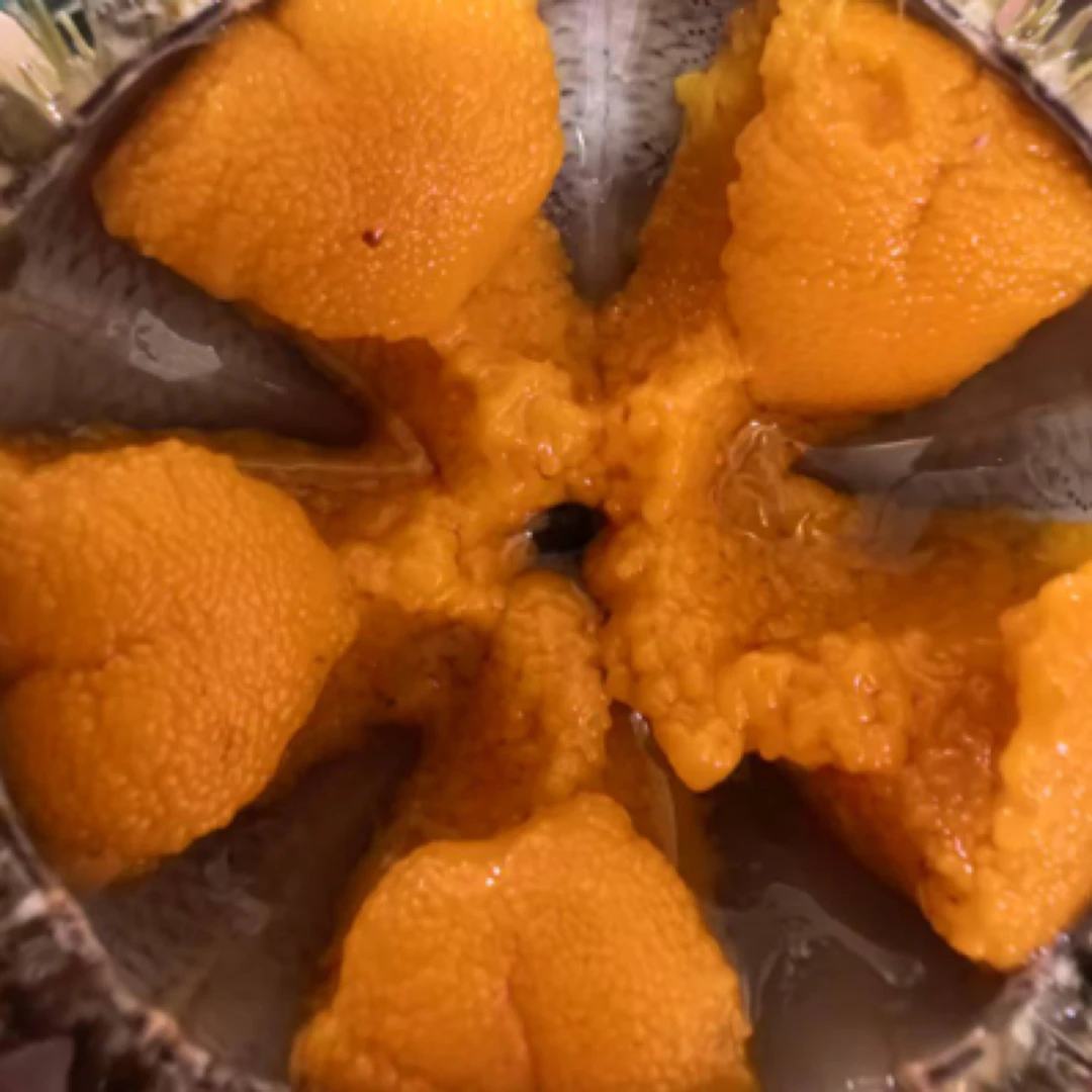 鲜活夏夷马粪胆（大连旅顺龙王塘）中个头2斤12-18个/到手2斤海鲜