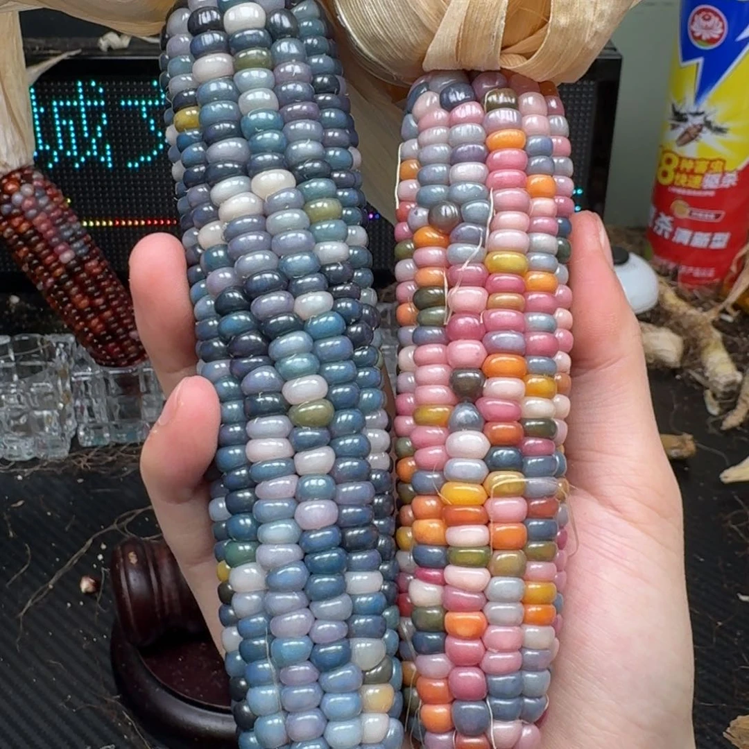 柏香籽/百香籽吊坠小**乖