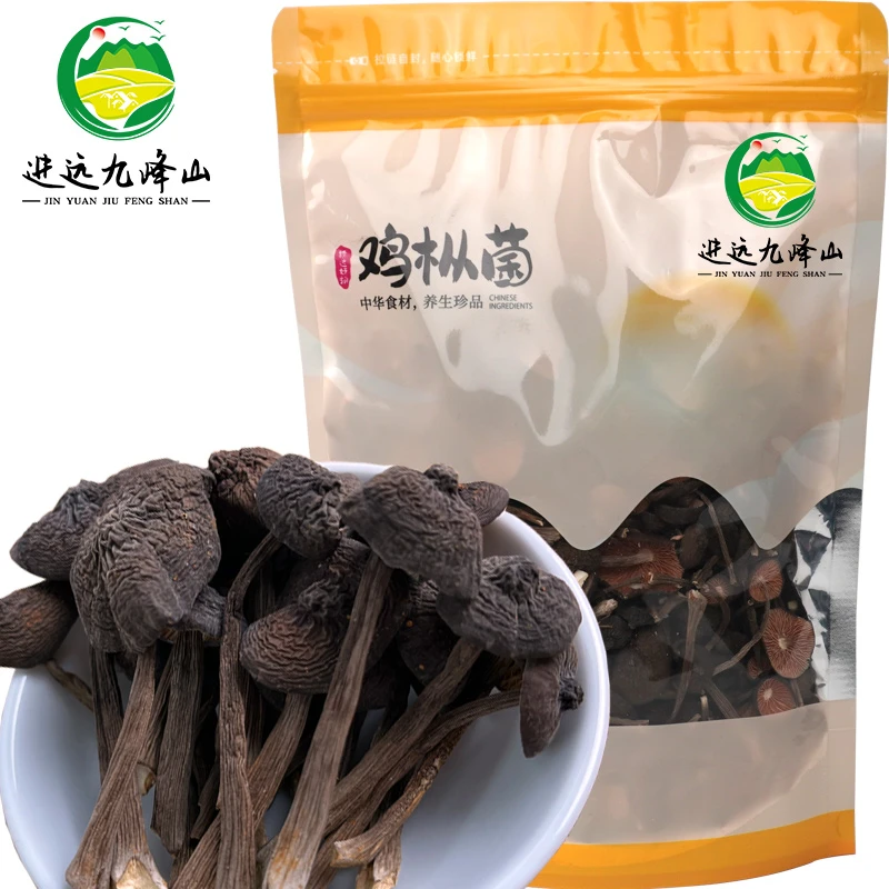 优质广西特产新鲜黑皮鸡枞菌现采现发鲜嫩脆火锅煲汤炒菜饭店下饭