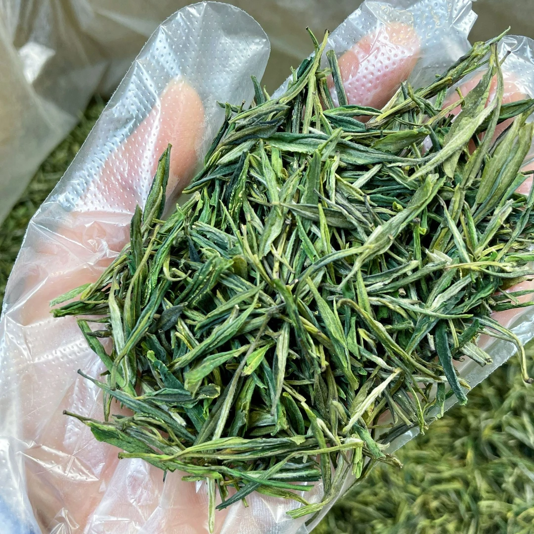 [黄芽A61]大别山高山茶浓香型口粮茶金寨黄芽年底清货