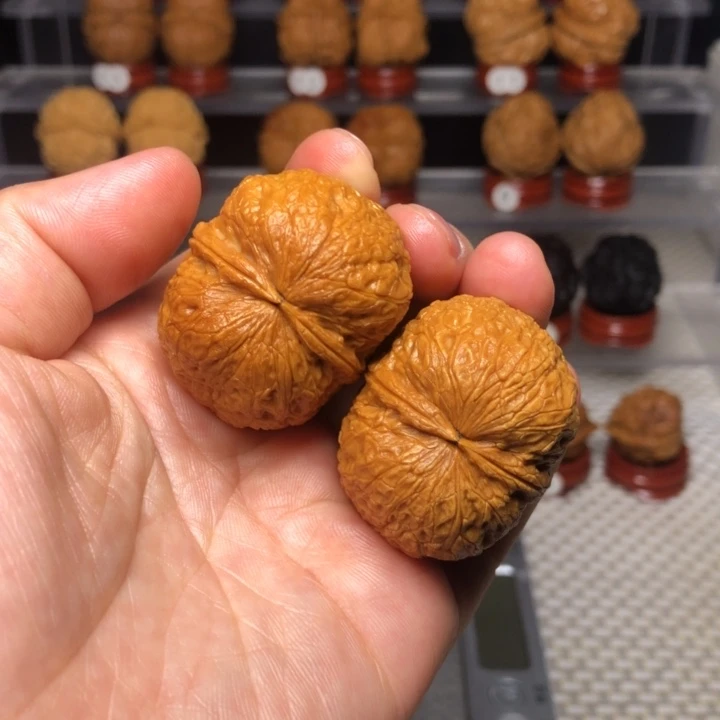 文玩核桃把件17鹦鹉元宝