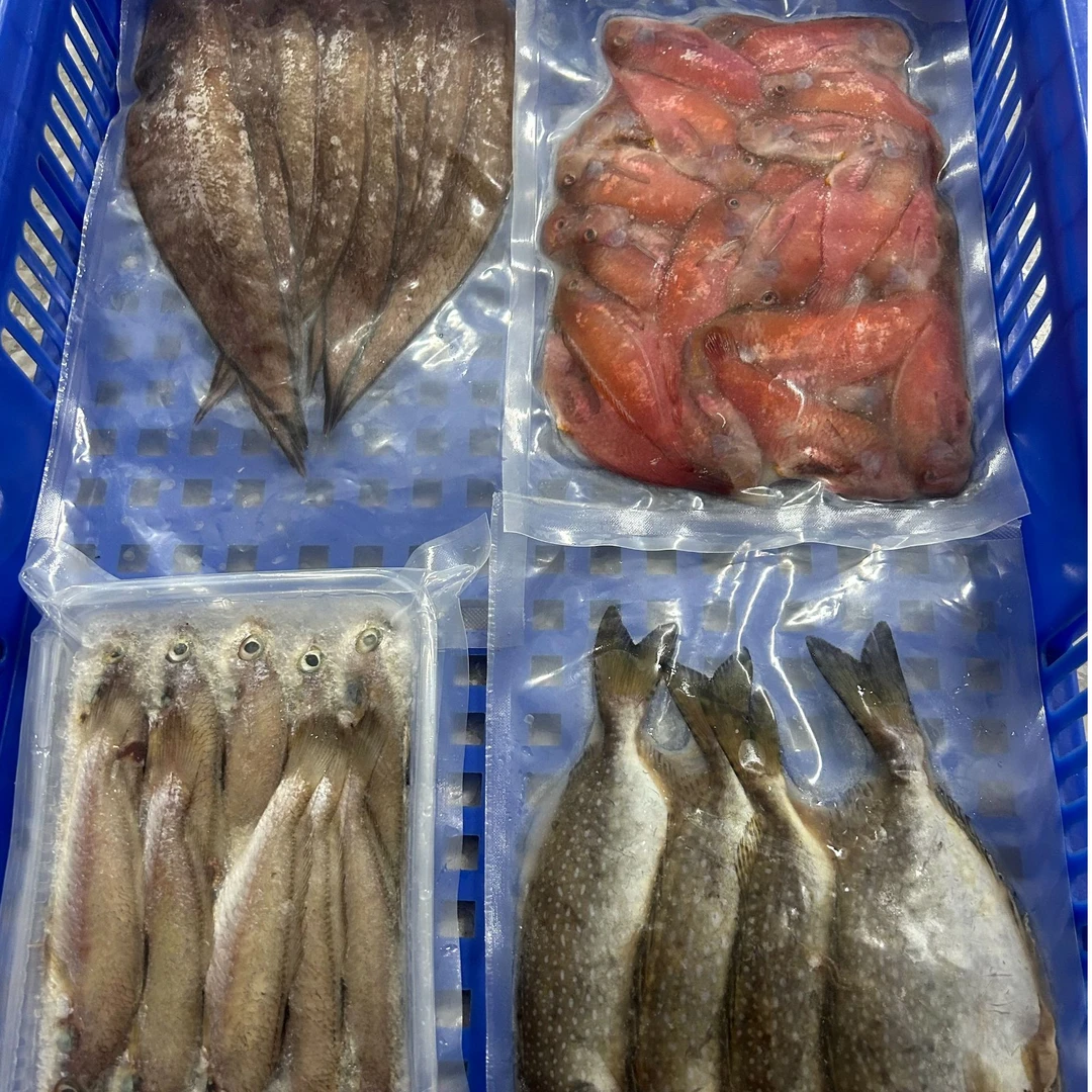 浅海鱼类组合套餐114