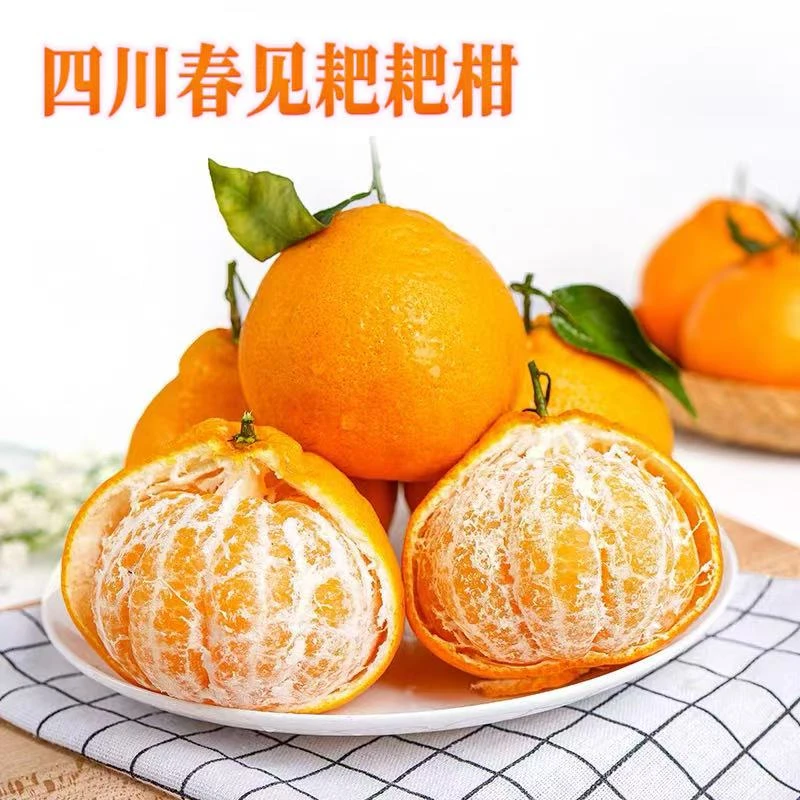 【喜子哥专属】四川春见耙耙柑新鲜水果香甜多汁自然熟现摘现发